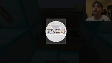 Minecraft Mod Review | Custom NPCs