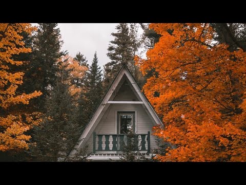 Edith Whiskers || Home || Lyrics - YouTube