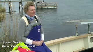 Whats Happening On Long Islands Great South Bay