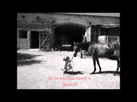 Video: Jezdectví II