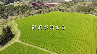 新茶が始まる2021
