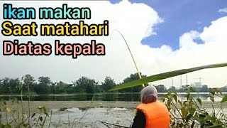 mancing ikan DiLagon indahkiat ||hunting tilapia