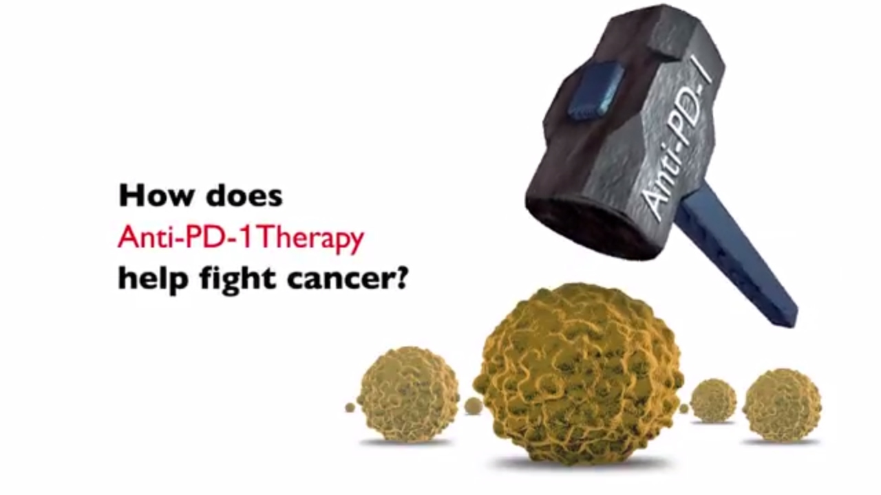 To learn more about immunotherapy to fight cancer, click here: