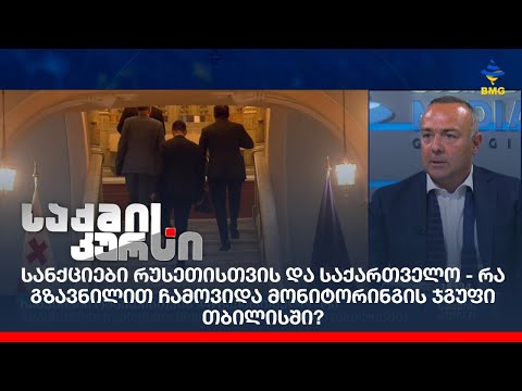 სანქციები რუსეთისთვის და საქართველო - რა გზავნილით ჩამოვიდა მონიტორინგის ჯგუფი თბილისში?