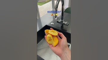 InSinkErate It Episode 2: Fruit Peels🍊🍌 #insinkerator #foodwaste #insinkerateit