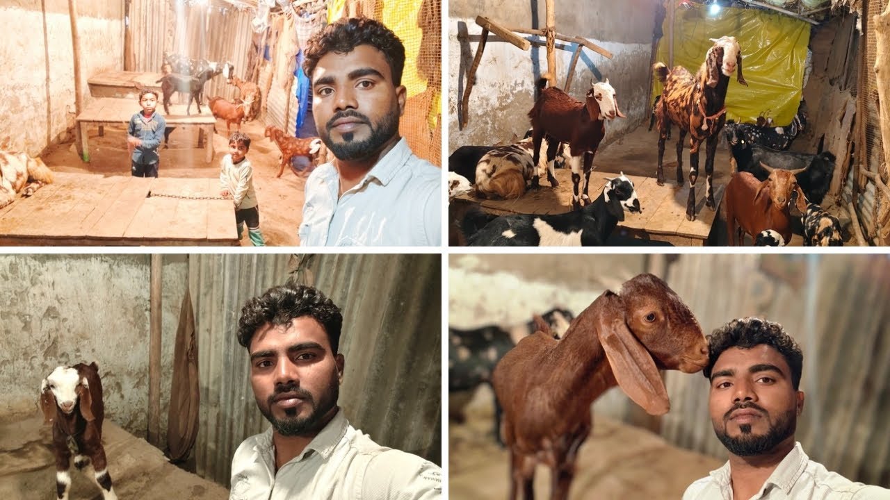 🙏🙏Bakriyon ki Humne ki 🤩🤩Sardi mein vyavastha 👏👏