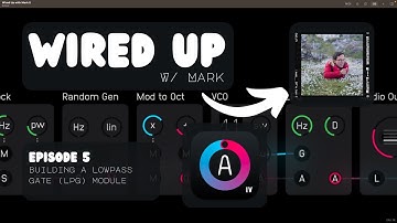 Wired Up with Mark 5 - Building a Lowpass Gate (LPG) Module