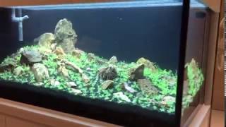 Website: https://www.n30.com.sg/custom-made-aquarium Custom-made by N30 Enterprises (Singapore) complete with on-site 