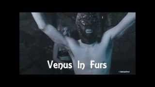 Venus In Furs - The Pelmet Overload (Johnny Cashbox &amp; TheDragonflyRising)