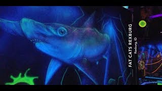 Tiny Whoops, Fat Cat Sharks and Mini Glow Golf Pirates Oh My!!!