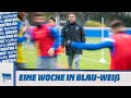 HaHoHe - Eine Woche in Blau-Weiß | 5. Spieltag | RB Leipzig vs. Hertha BSC