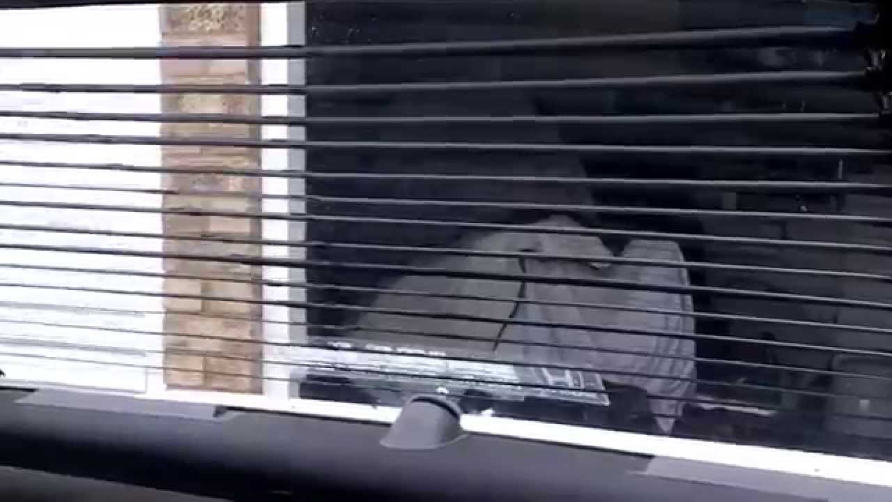 Daisy Original Japan Creative C-Life Electric Rear Blind - Super Rare