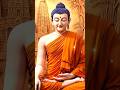 Buddham Sharanam Gachhami 🕊️ — Supreme awakening, Buddha energy within 🔥🎶 | #shorts #buddha #viral