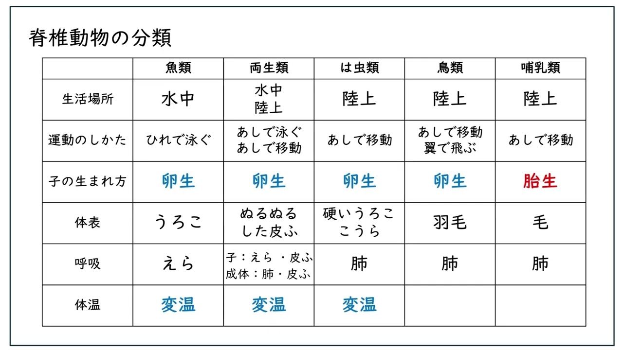 脊椎動物の分類