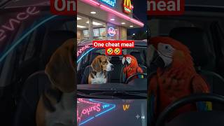 one cheat meal.. 🤣 #funnydog #talkingdog #usa #funnydogvideos #petmemes #dogsoftiktok#americanhumor