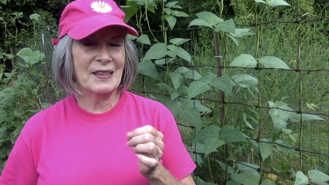 Garden Table Minute for Mission YouTube