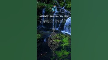 آيات بر الوالدين محمد الغزالي #الله #تلاوة_خاشعة