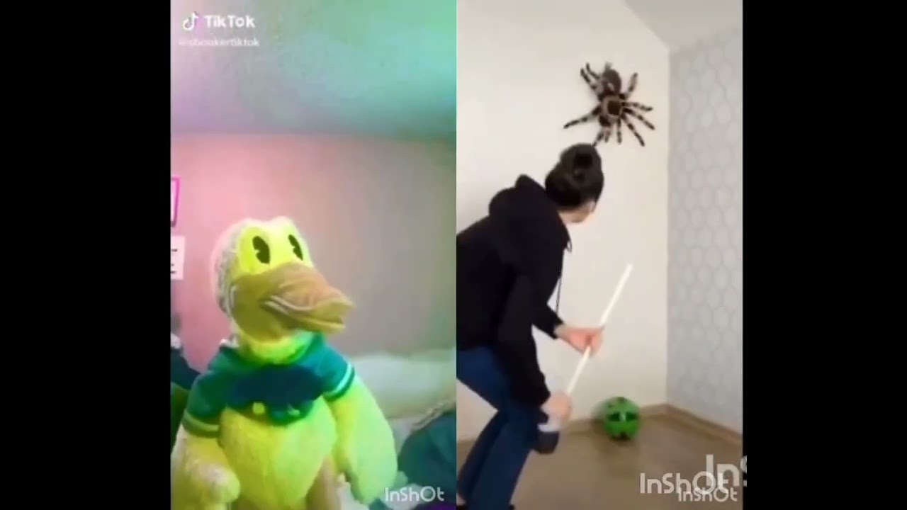 Scary spider attack on Donald duck