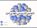 مراجعة 3 ثانوي شرح الانشطار التفاعل التسلسلي المغذى ذاتيا باك 2020