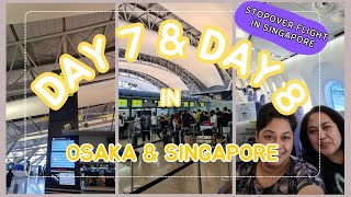 Travel Vlog Japan Day 7 & Day 8 - Stopover Flight In Singapore