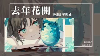 王忻辰 - 去年花開『你說我們星座不配好像不適合 你是選擇相信上帝還是相信我』【Lyrics Video】