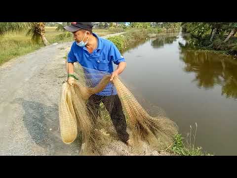 chia sẻ với các bạn trẻ cách chài cá cực kỳ dễ hiểu,và hiệu quả hơn đi câu.