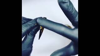 Vídeo de Snake Skin