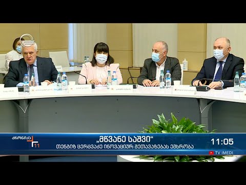 „მწვანე ბარათების“ კონცეფცია ჯანდაცვის სამინისტროს უკვე მზად აქვს