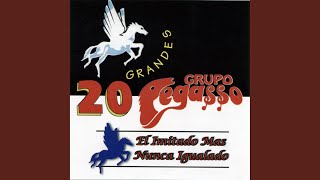 Video thumbnail of "Grupo Pegasso - 05 chapoteando"