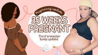 35 Weeks Pregnancy update : Third Trimester Nesting Instincts & Finding the Perfect Baby Doctor !