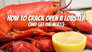How To Crack Open a Lobster (and get the meat), Part 1