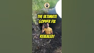 🐾💡 Stop Gophers the Proven Way | Getting Rid of Gophers | Edmonton Pest Control