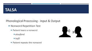 2.2 Assessment of Language Processing in Aphasia