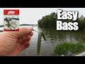 Easy Bass Fishing for ANYONE - Affordable Fishing for Beginners