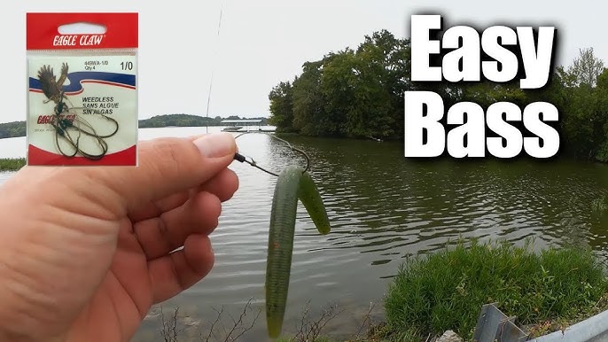 Bass Fishing 101: 5 Bass Fishing Rigs You NEED to KNOW!! 