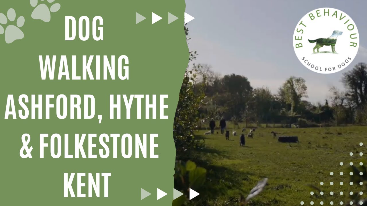Dog Walking Locations Ashford, Hythe & Folkestone, Kent YouTube