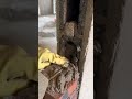 additional brick installation techniques #shorts