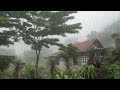 Rain sounds for sleeping rain in jamaica for sleep and  meditation black screen