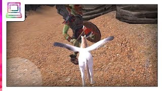 Pegasus Simulator - Flying Horse Survival Android Gameplay (Horse Game) screenshot 4