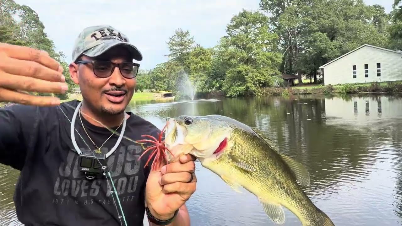Big Fish on Urchin Bass bait?