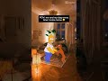 #funny #dogshorts #jackrussellterrier #viral #pets #doggo #cute #cutedog #dogs #fyp #saturday #dance