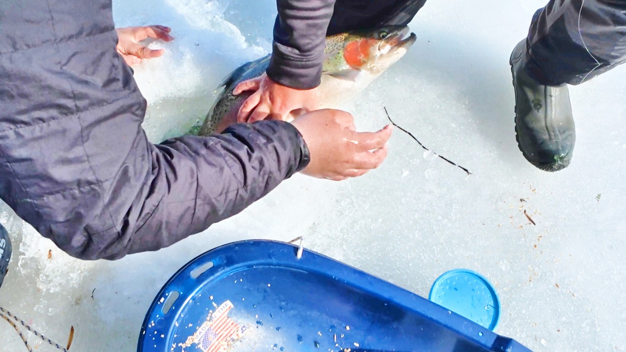 Survival Style Ice Fishing: Hand Lining Erie Tributaries