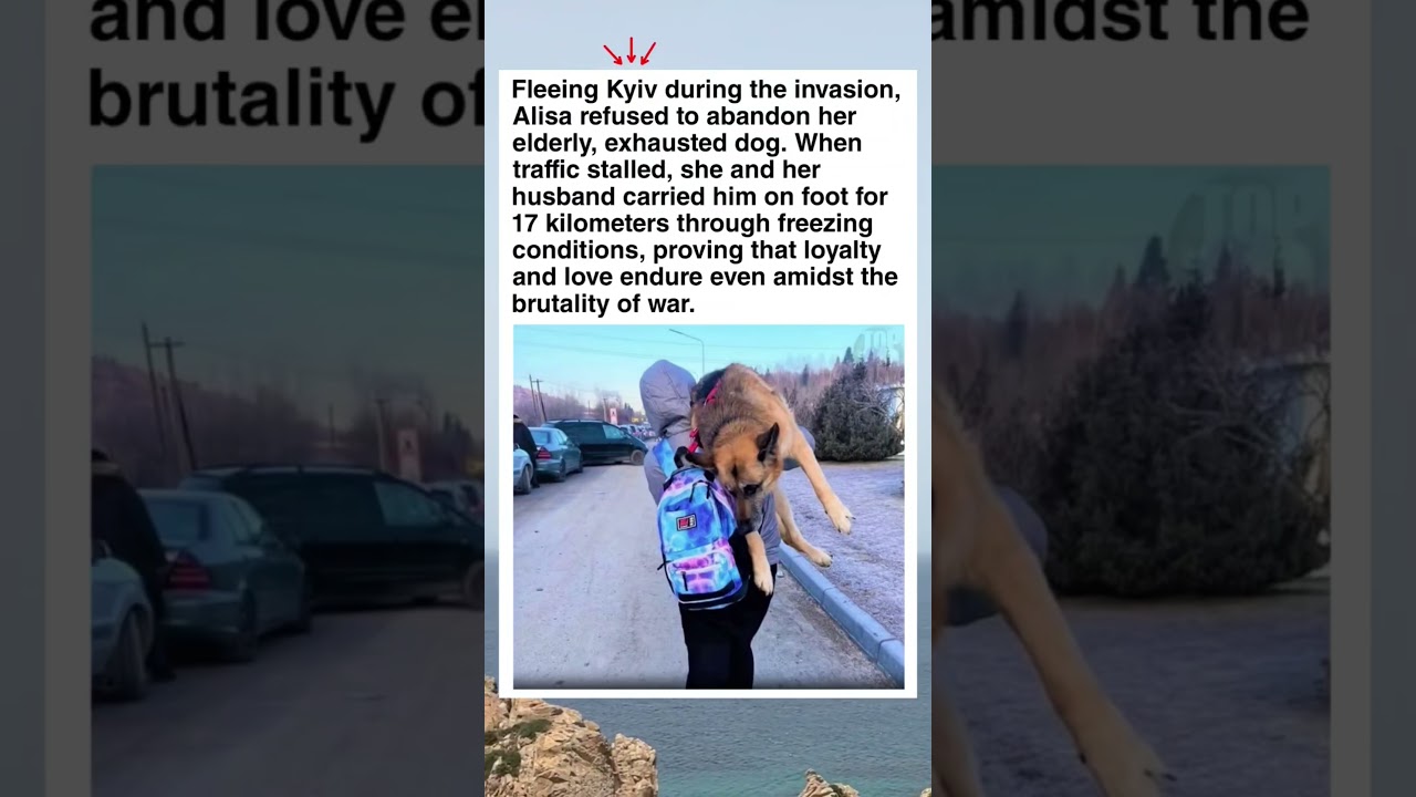10 Miles of Loyalty: Why This Woman Carried Her Dog to Safety 