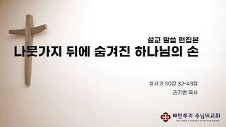 창세기 30:32-43 나뭇가지 뒤에 숨겨진 하나님의 손 배턴루지 주님의 교회 권기범목사 주일설교 8-16-2026