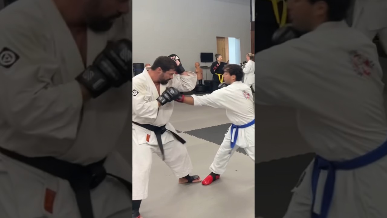 Light sparring/ body work for our adult class. 