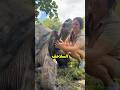 كيف تأكل السلاحف بسرعة فائقة