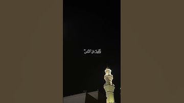 ياسر الدوسري سورة الحج 🤍🎧