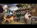 Pet Room Tour! 20+ Of My Animals