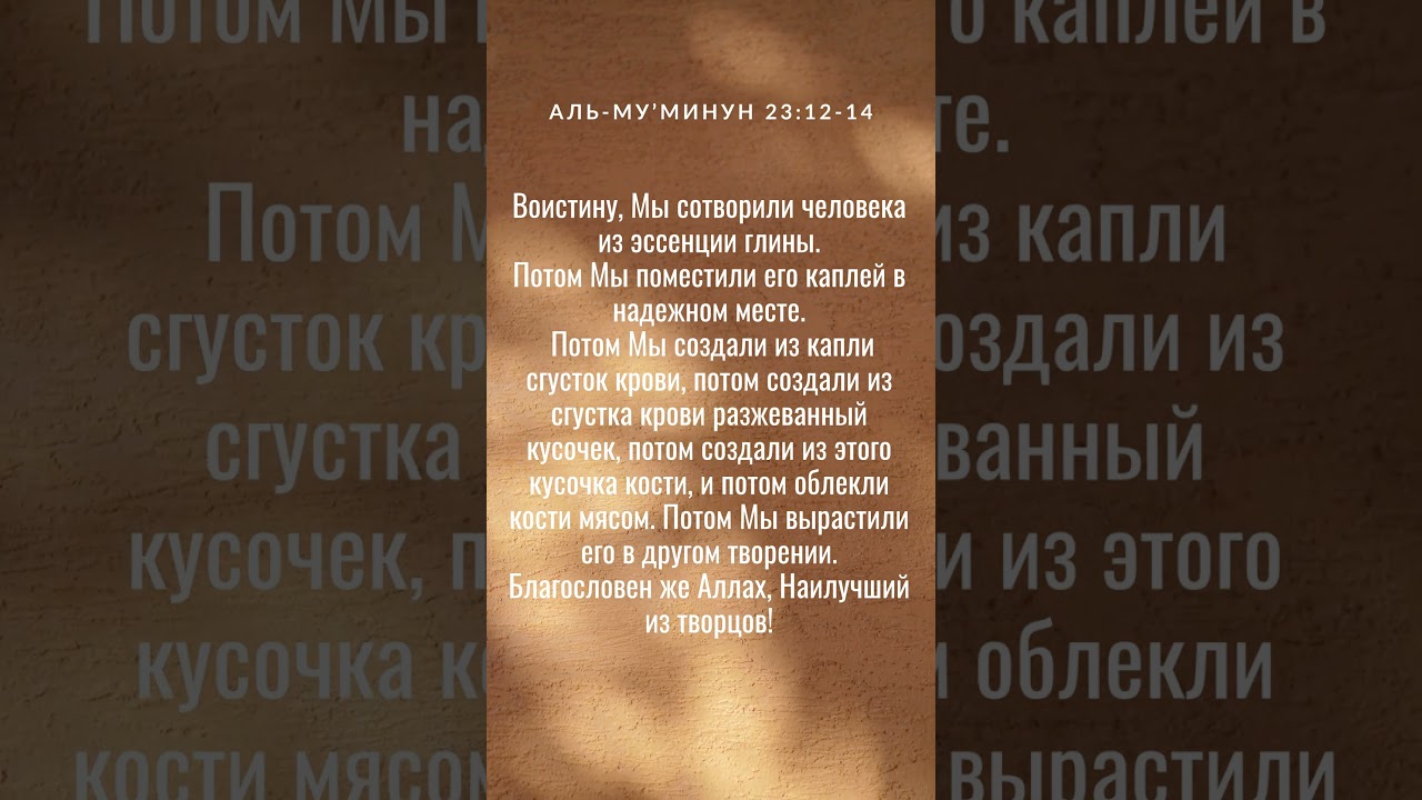 Аль-Му’минун 