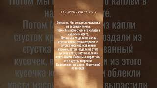Аль-Му’минун 23:12-14 #аллах #коран #сура #аят